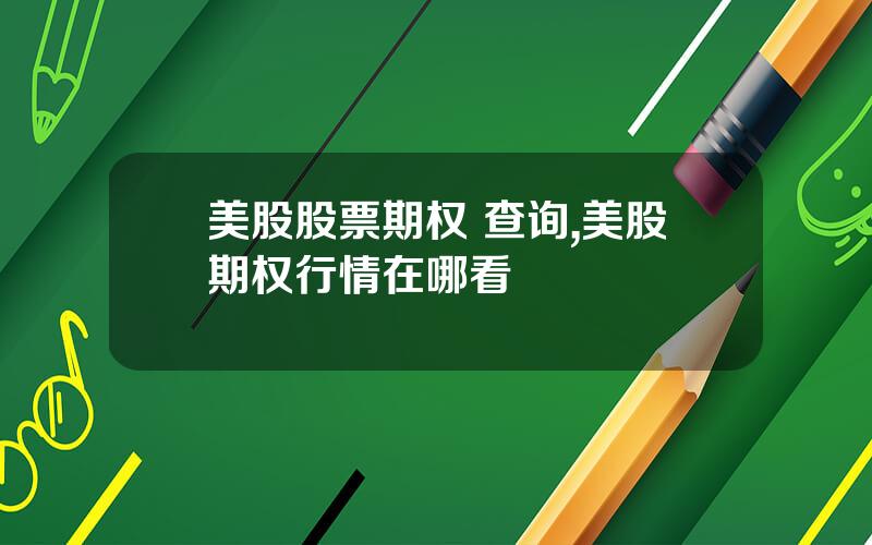 美股股票期权 查询,美股期权行情在哪看